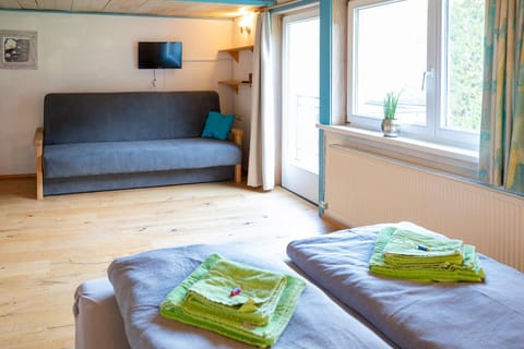 Haus Alpina Apartment in Vorarlberg, Austria