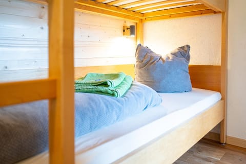 Haus Alpina Apartment in Vorarlberg, Austria