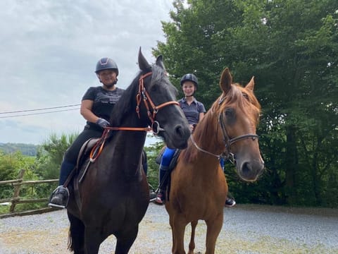 La maison aux prés Bed and Breakfast in Wallonia, Belgium