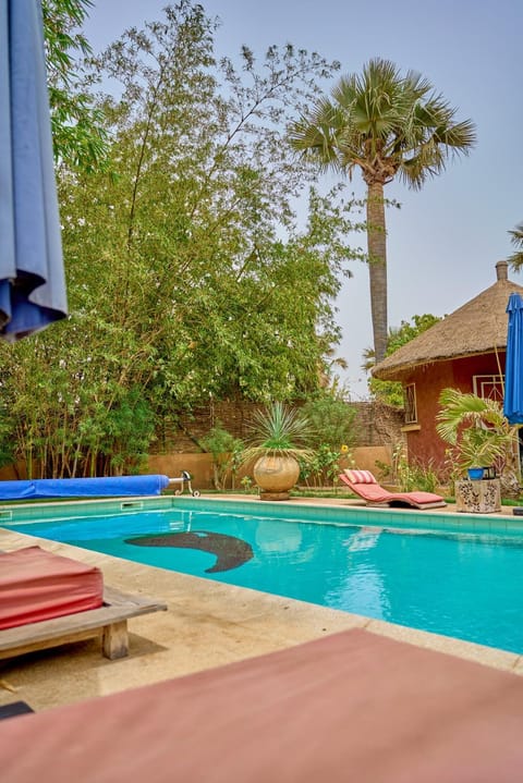 Day, Pool view, Swimming pool