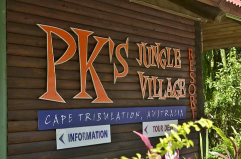 PK's Jungle Village Hostal in Cape Tribulation