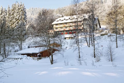 Property building, Winter