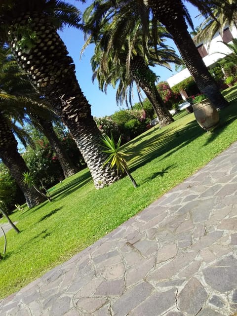 Le Palme Apartment in Tuscany