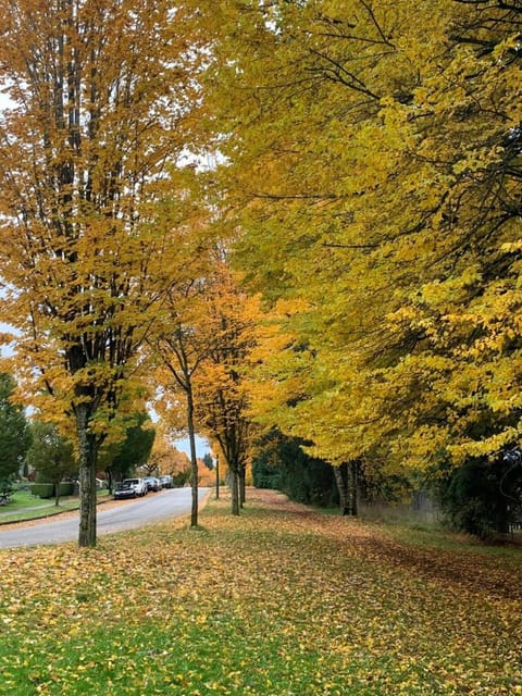 Property building, Quiet street view