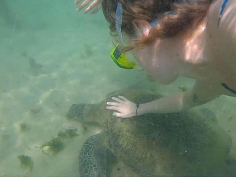 Activities, Snorkeling