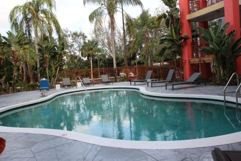 Pool view, Swimming pool