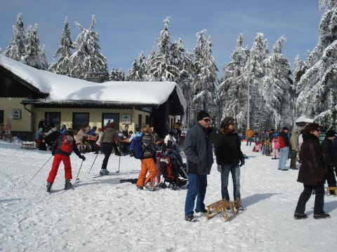 Skiing, Area and facilities