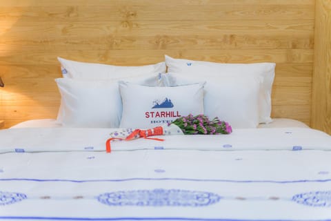 Starhill Hotel Hôtel in Dalat