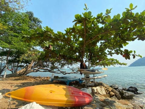 Snorkeling, Beach, Canoeing