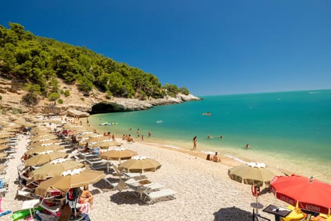 Beach, Sea view