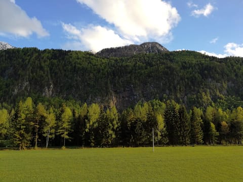 Natural landscape, Hiking, Mountain view