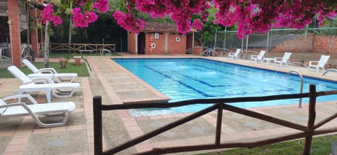 Spring, Day, Garden view, Pool view, Swimming pool