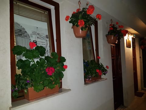 Casa Germanoff Alojamiento y desayuno in Ohrid