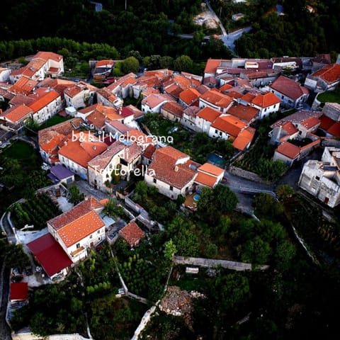 Neighbourhood, Natural landscape, Bird's eye view