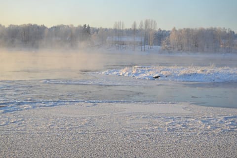 House Olkka by the river Villa in Rovaniemi