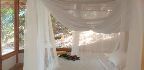 Bed, Photo of the whole room, Decorative detail