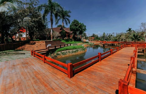 Day, Natural landscape, On site, Garden view