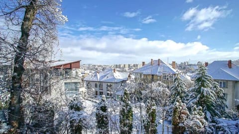 Day, Natural landscape, Winter, View (from property/room), Balcony/Terrace