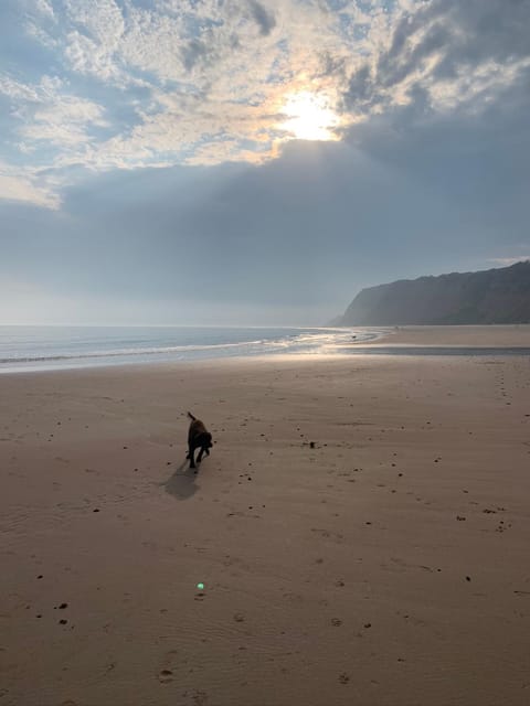 Sandy feet retreat Eigentumswohnung in Exmouth