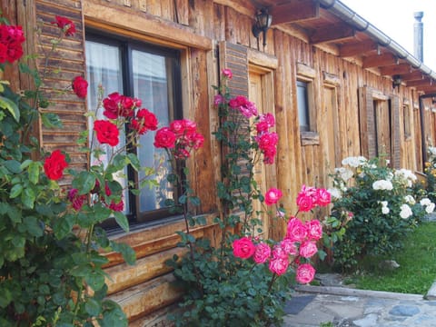 Facade/entrance, Garden