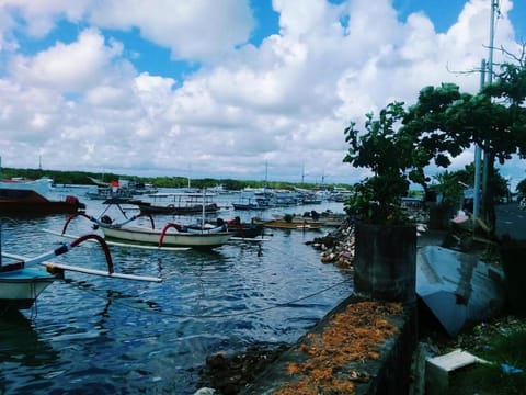 Turtle Island Homestay Urlaubsunterkunft in Denpasar