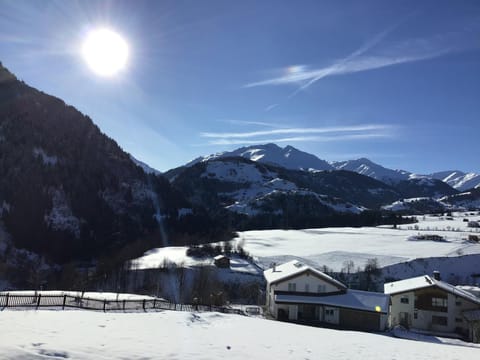 Disentiserhof Condo in Canton of Grisons