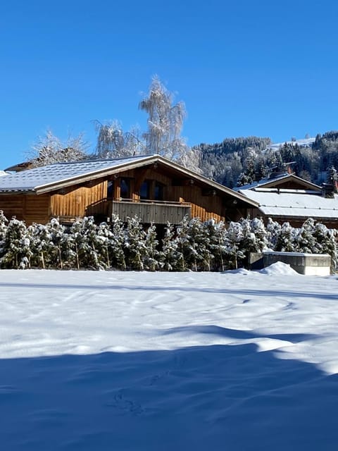 Chalet Du Pont D Arbon Chalet in Combloux