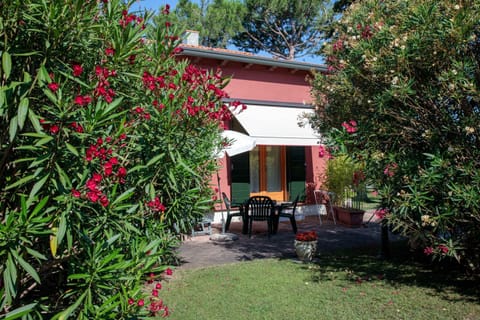 Patio, Garden