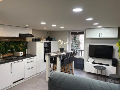 Le Cocon De Notre Dame Apartment in Annecy