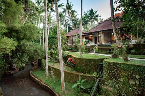 Garden, Garden view