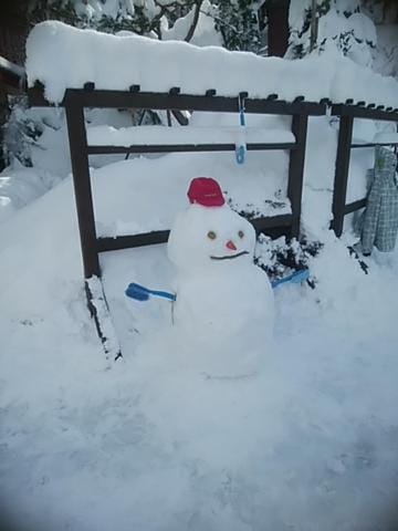 Inaka no Yado SAWA Locanda in Nozawaonsen