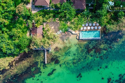 Beach, Pool view, Swimming pool