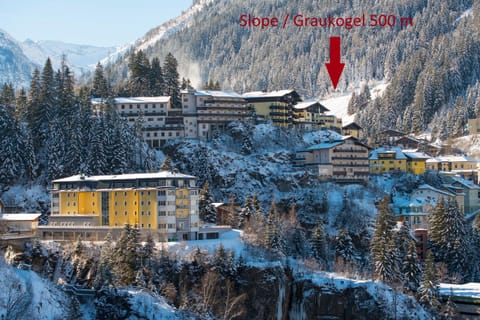 Sonnenwende by AlpenTravel Appart-hôtel in Bad Hofgastein