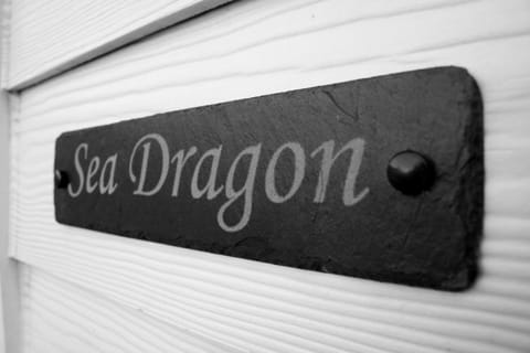 Sea Dragon House in Camber