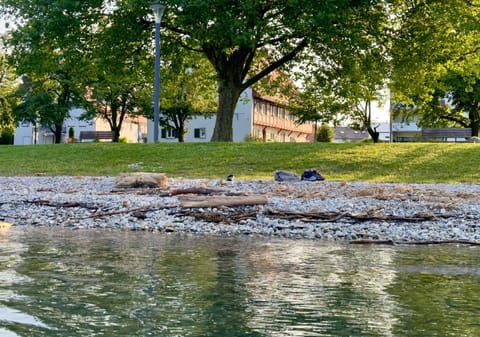 Beach, Lake view, Location