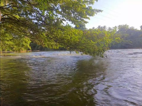 Natural landscape, River view