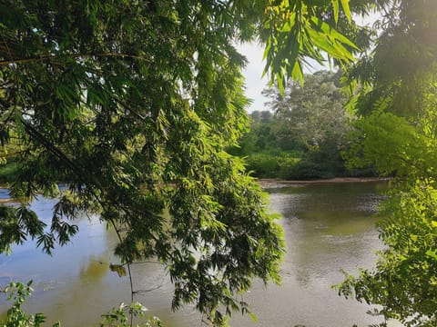 Natural landscape, River view