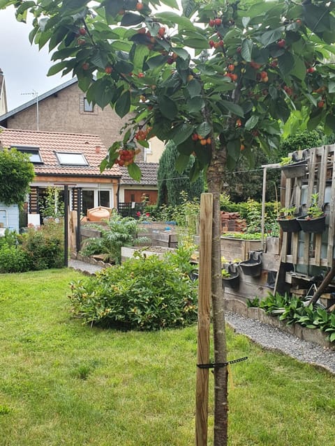 View (from property/room), Garden view