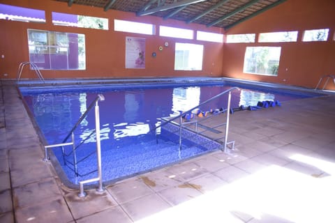 Activities, Decorative detail, Swimming pool, Entertainment, group of guests