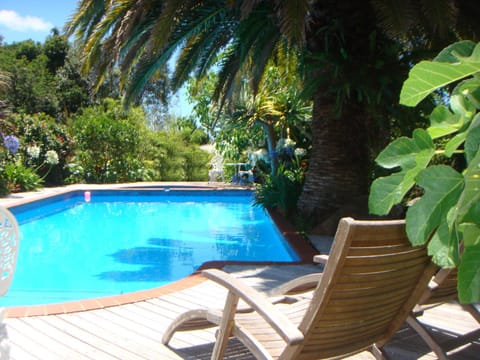 Garden, Pool view