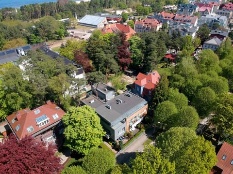 Neighbourhood, Bird's eye view