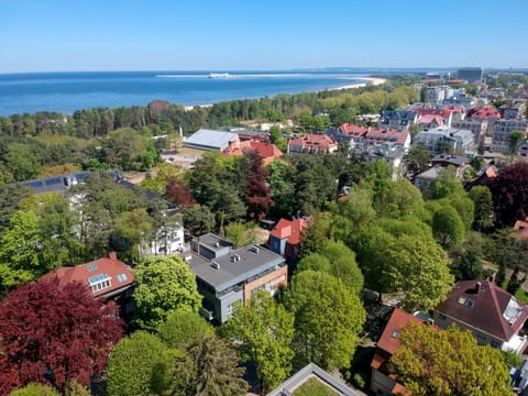 Neighbourhood, Bird's eye view