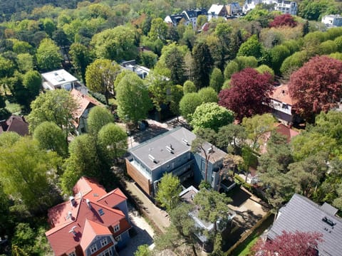 Neighbourhood, Bird's eye view