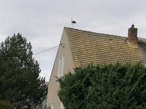 Property building, Landmark view