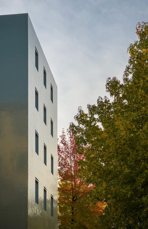 Property building, Day