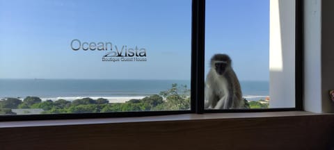 Ocean Vista Boutique Guest House Bed and Breakfast in Umhlanga