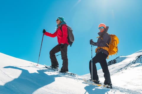 Day, Natural landscape, Winter, Skiing, Mountain view, Sports, group of guests