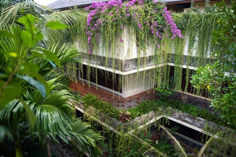 Property building, Garden view