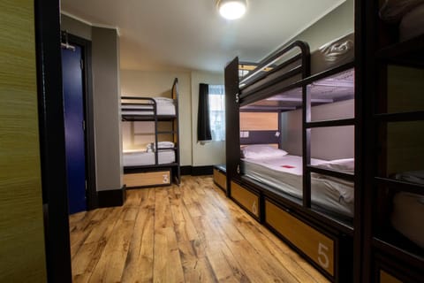 Photo of the whole room, Bedroom, bunk bed