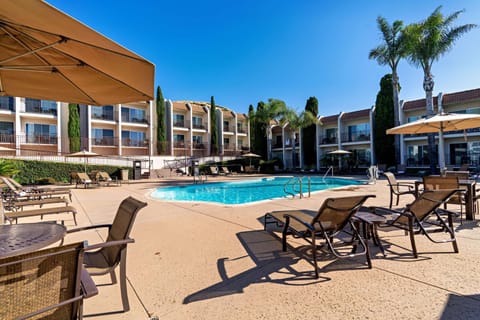 Pool view, Swimming pool